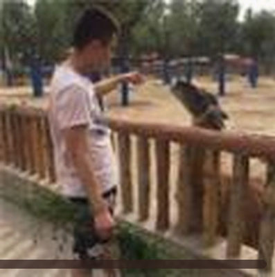 User