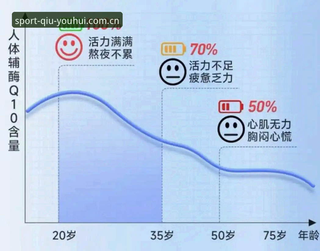 球友会体育平台2026CN注册全面解析：从品牌升级到数据追踪的深度体验